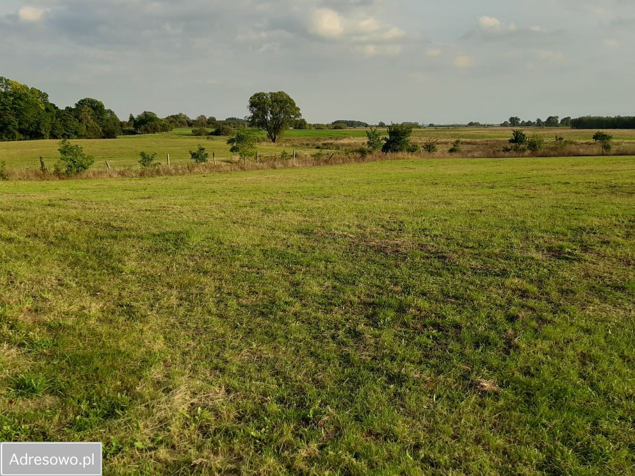Działka inwestycyjna Sarbia. Zdjęcie 2