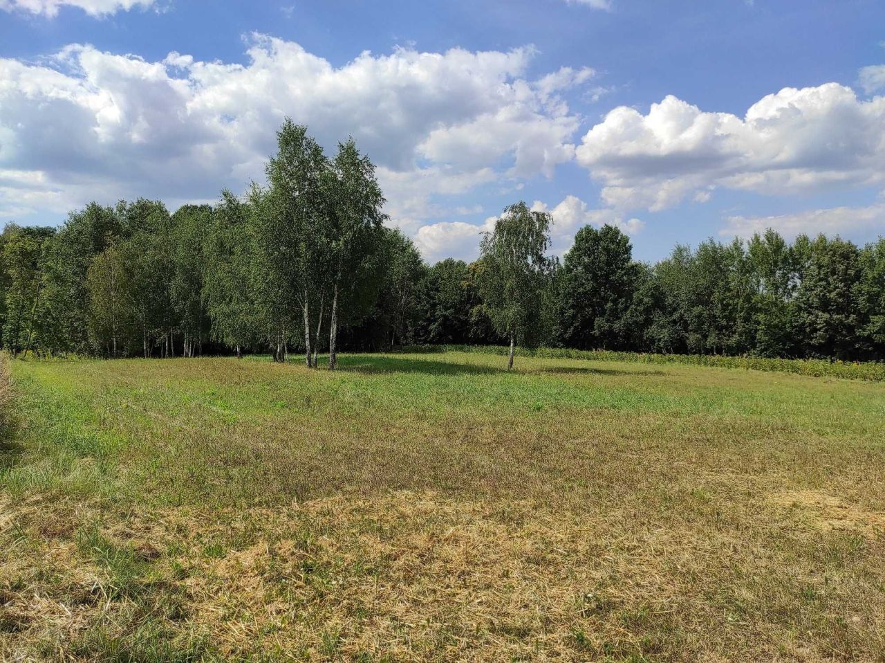 Działka rolna Rąblów. Zdjęcie 5