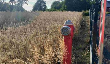 Działka budowlana Jeleńska Huta, ul. Kamieńska