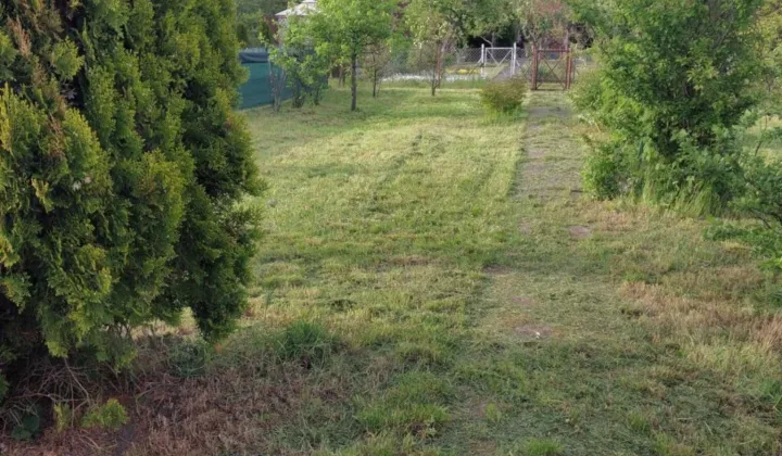 Działka rod Wrocław Krzyki, ul. Wilcza