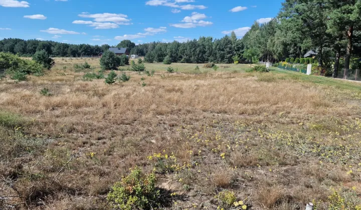 Działka rekreacyjna Dzbądzek