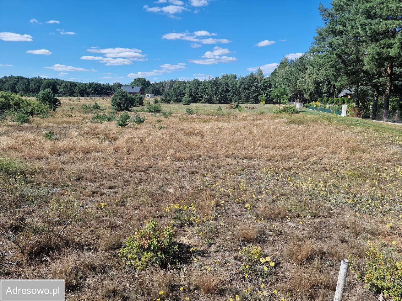 Działka rekreacyjna Dzbądzek. Zdjęcie 1