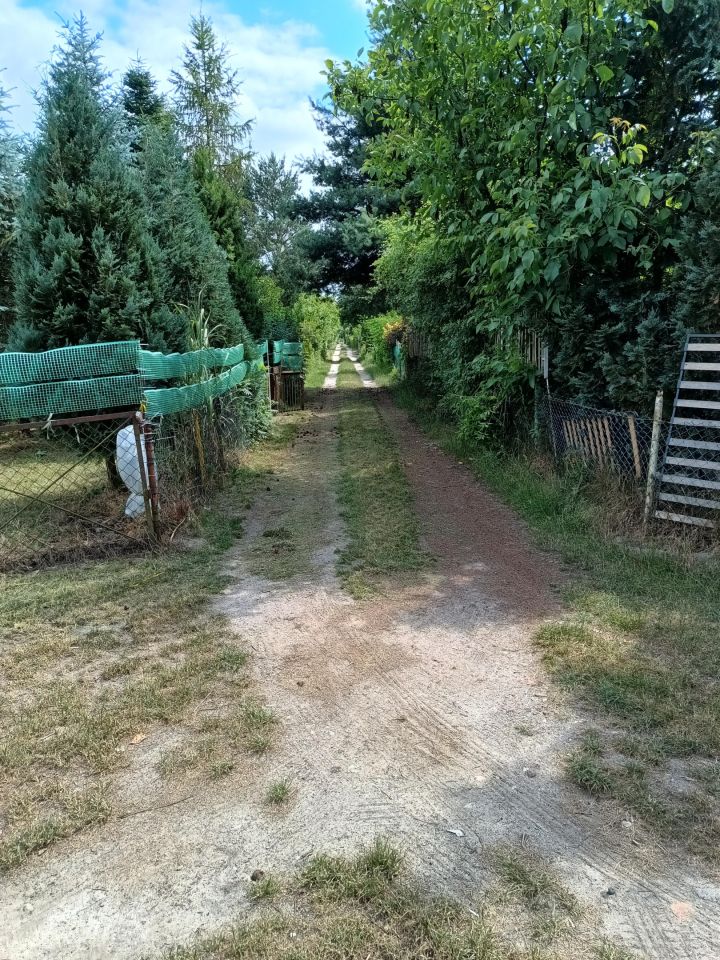 Działka rod Kamieniec Wrocławski, ul. Działkowa. Zdjęcie 17