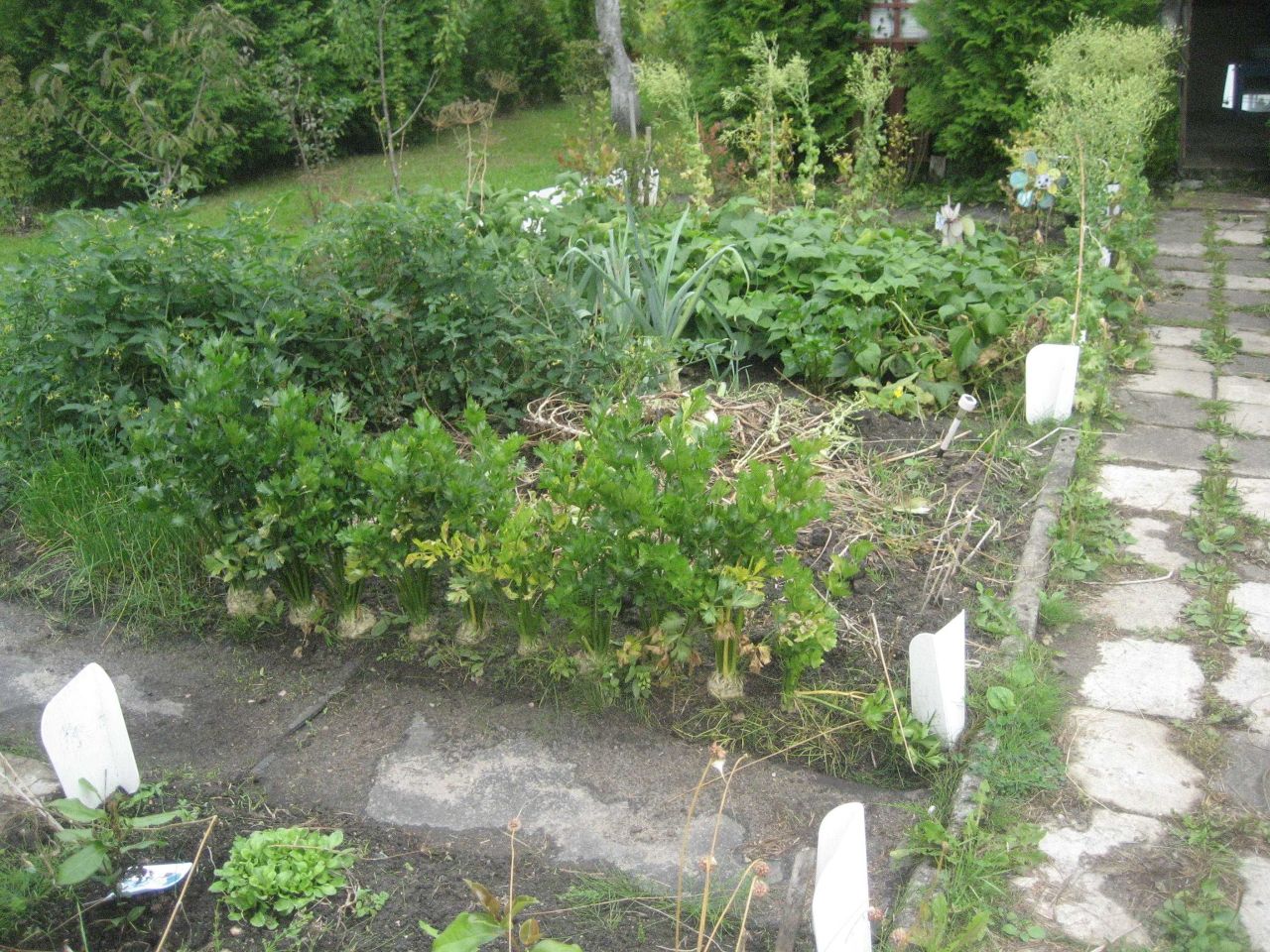 Działka rod Piła, ul. Szymanowskiego. Zdjęcie 7