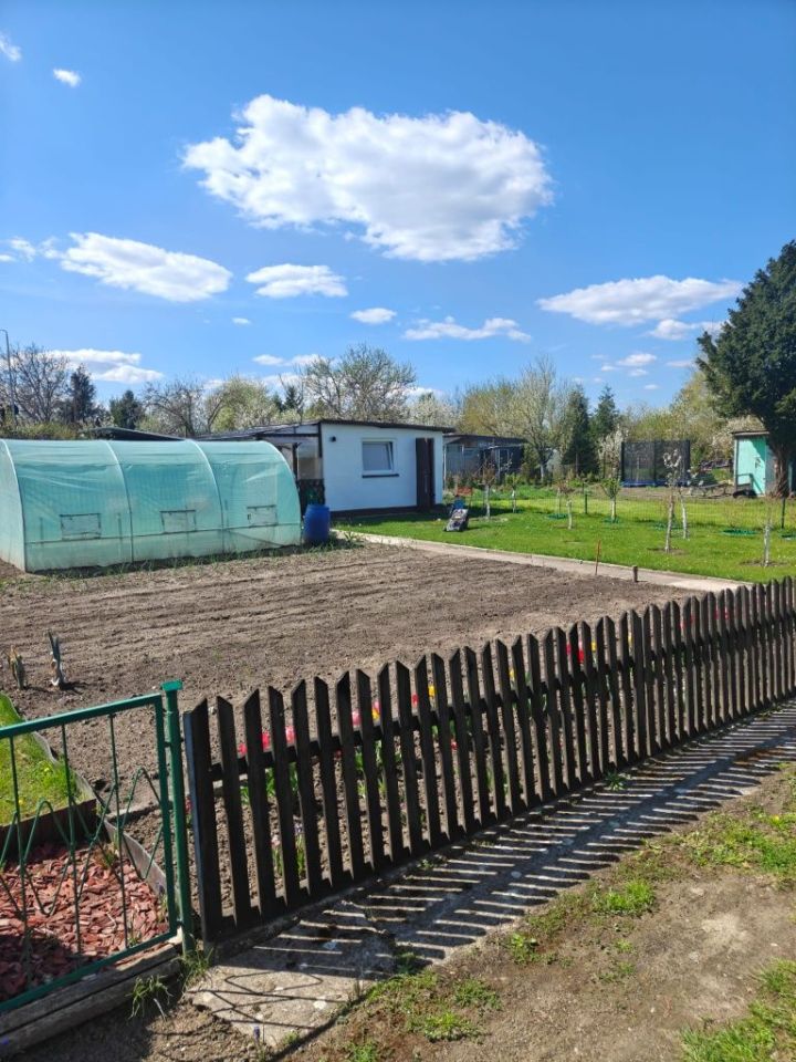 Działka rod Międzyrzecz. Zdjęcie 5