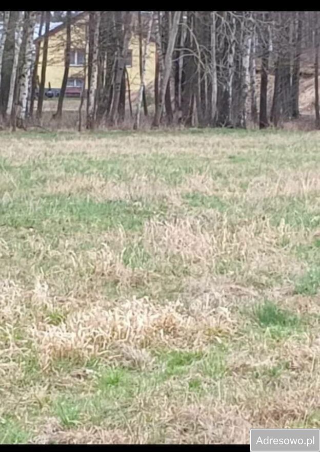 Działka budowlana Brzuza. Zdjęcie 9