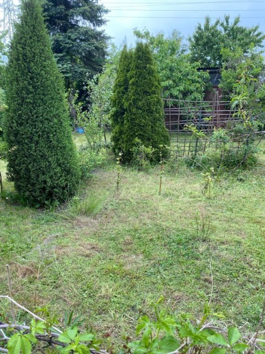 Działka rod Gdańsk Przymorze. Zdjęcie 18