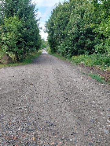 Hala/magazyn Drawno. Zdjęcie 7