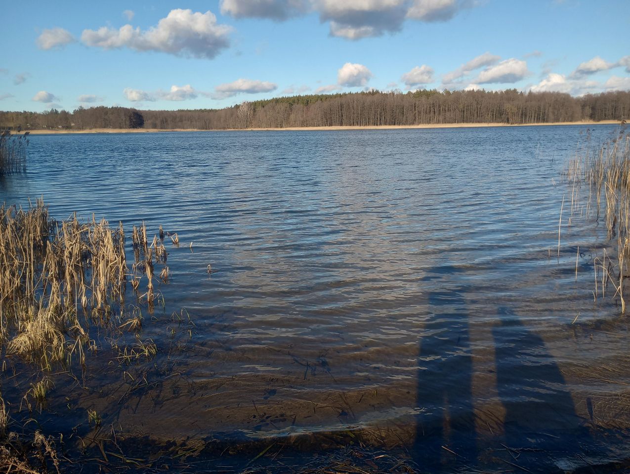 Działka rekreacyjna Grądy. Zdjęcie 3