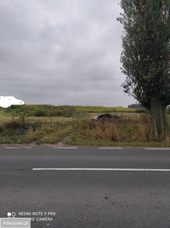 Działka rolno-budowlana Górki. Zdjęcie 5
