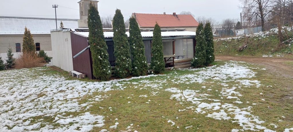 Lokal Lewice. Zdjęcie 8