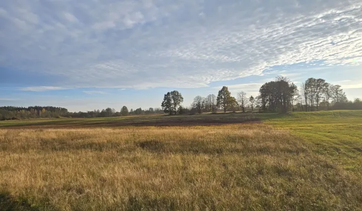 Działka rolna Osetno