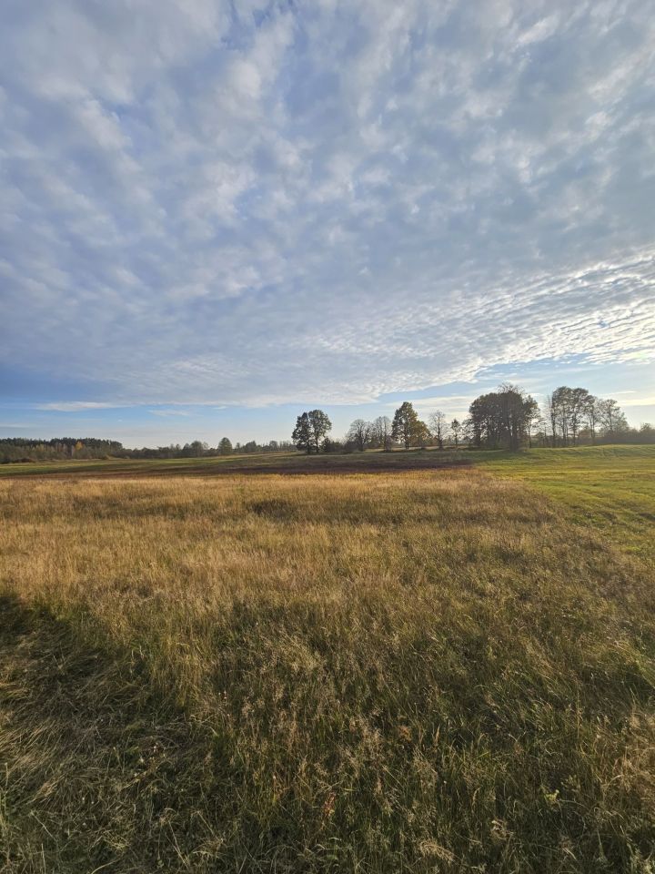 Działka rolna Osetno