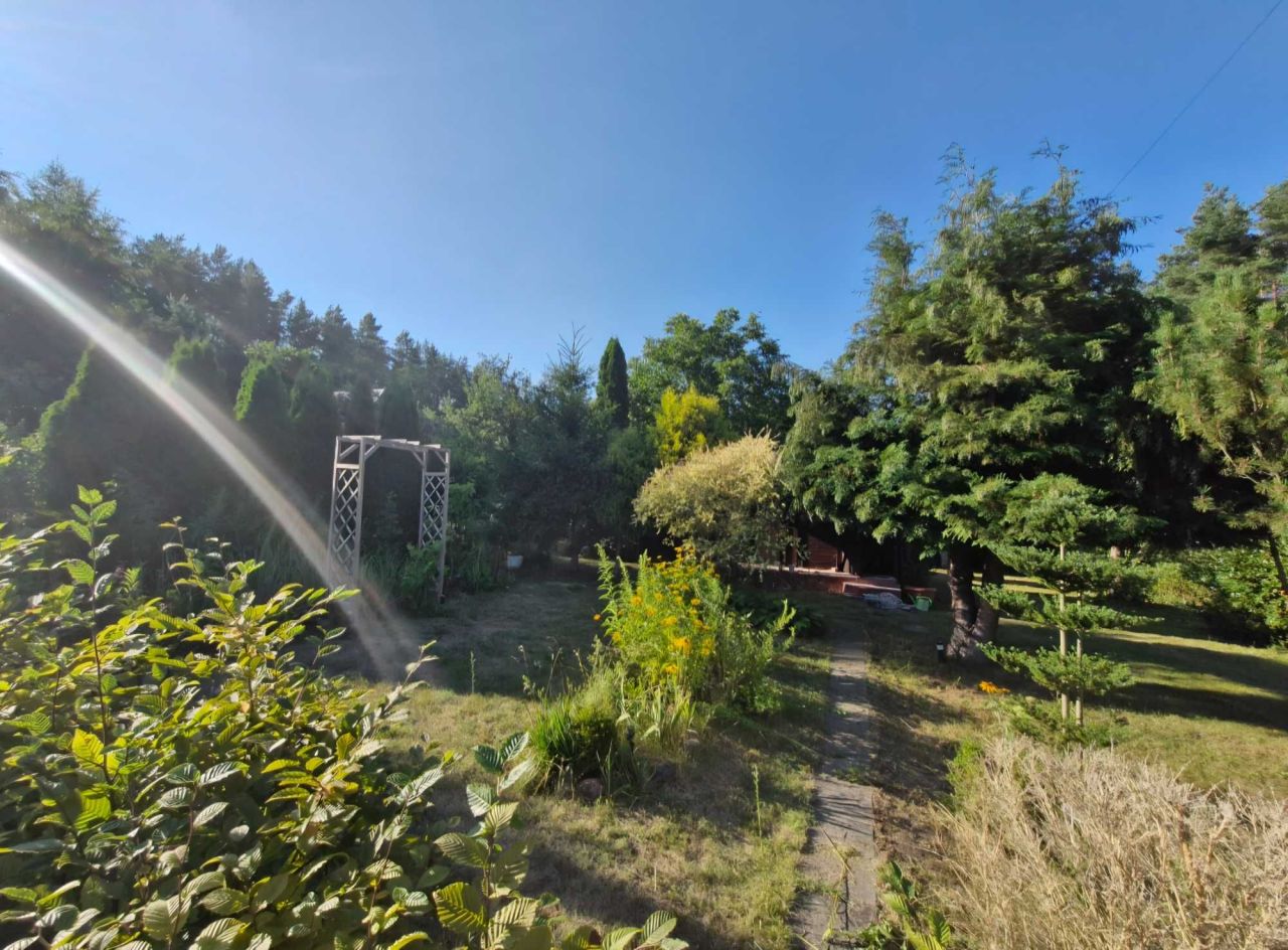 Działka rod Białystok Jaroszówka, Gwiazdkowa 2. Zdjęcie 6