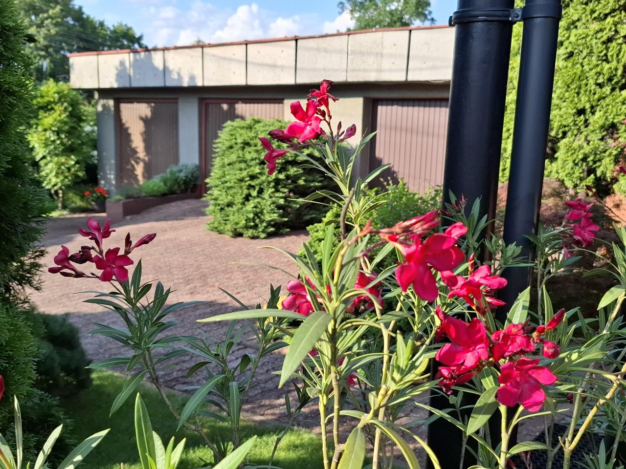 dom wolnostojący, 6 pokoi Siemianowice Śląskie Pszczelnik, ul. Żurawia. Zdjęcie 5