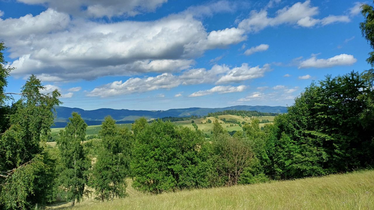 Działka rolna Krajanów. Zdjęcie 6