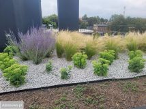 Mieszkanie 2-pokojowe Zabrze Centrum, ul. Szkolna. Zdjęcie 4