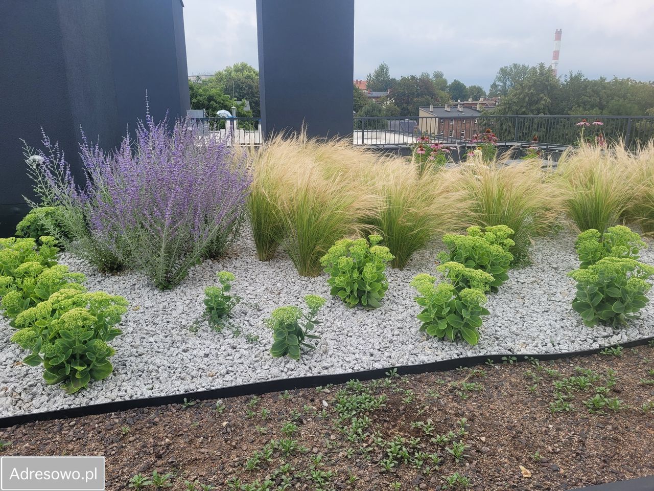 Mieszkanie 2-pokojowe Zabrze Centrum, ul. Szkolna. Zdjęcie 5