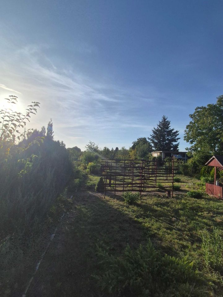 Działka rod Głogów. Zdjęcie 4