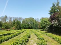 siedlisko, 2 pokoje Radawiec Duży. Zdjęcie 2