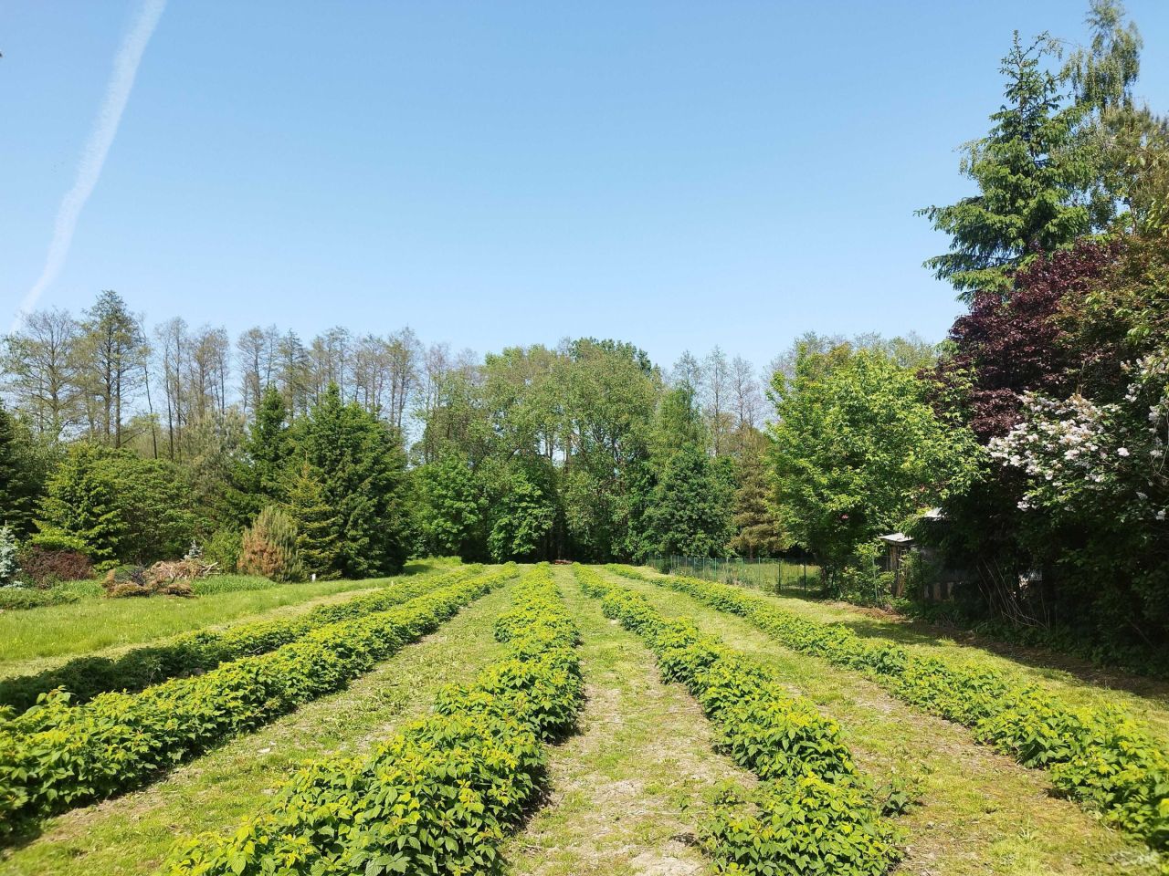 siedlisko, 2 pokoje Radawiec Duży. Zdjęcie 3