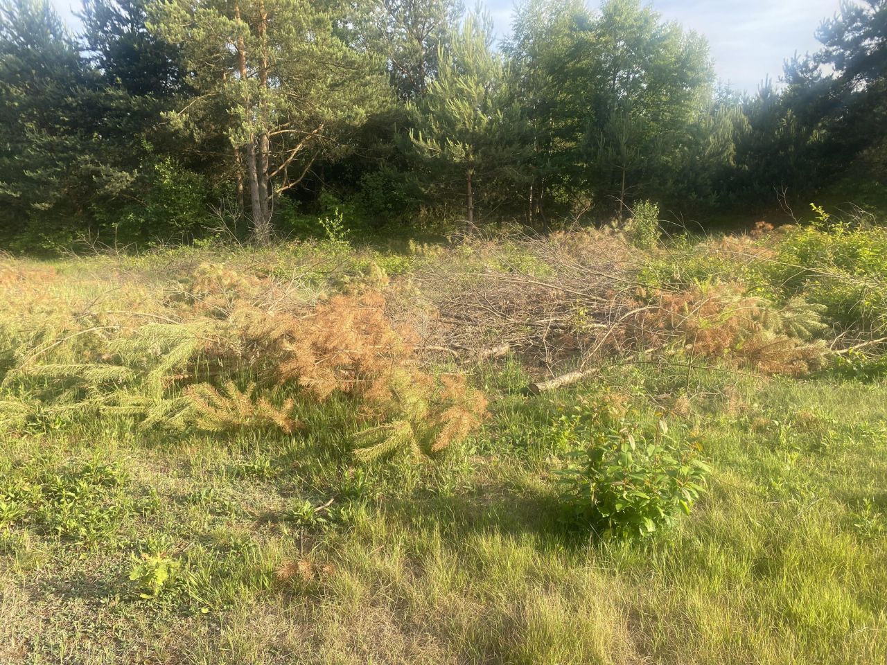 Działka rolno-budowlana Ciekoty, Ciekoty. Zdjęcie 2