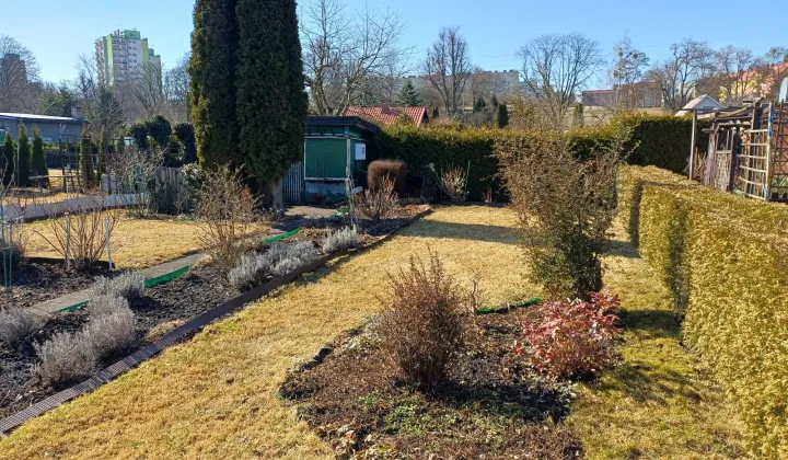 Działka rod Piła, ul. Różyckiego