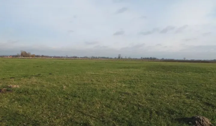 Działka rolno-budowlana Kotórz Mały, ul. Ogrodowa
