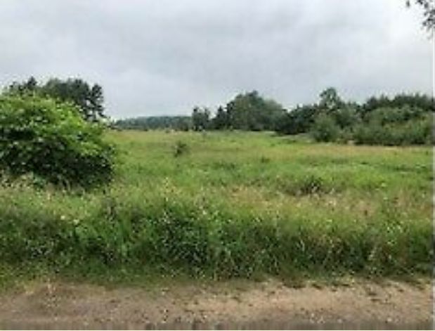 Działka rekreacyjna Kamińsko. Zdjęcie 4