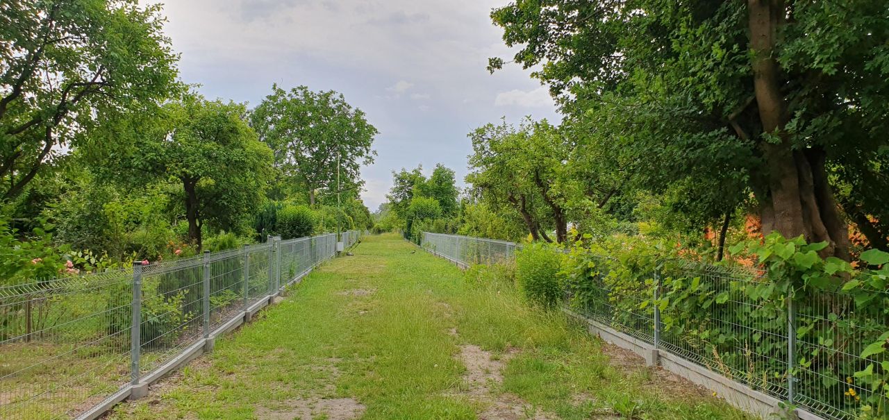 Działka rod Warszawa Mokotów, ul. Wirażowa. Zdjęcie 4