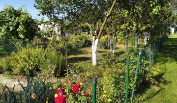 Działka rod Racibórz, ul. Opawska