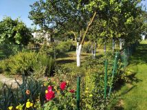 Działka rod Racibórz, ul. Opawska. Zdjęcie 1