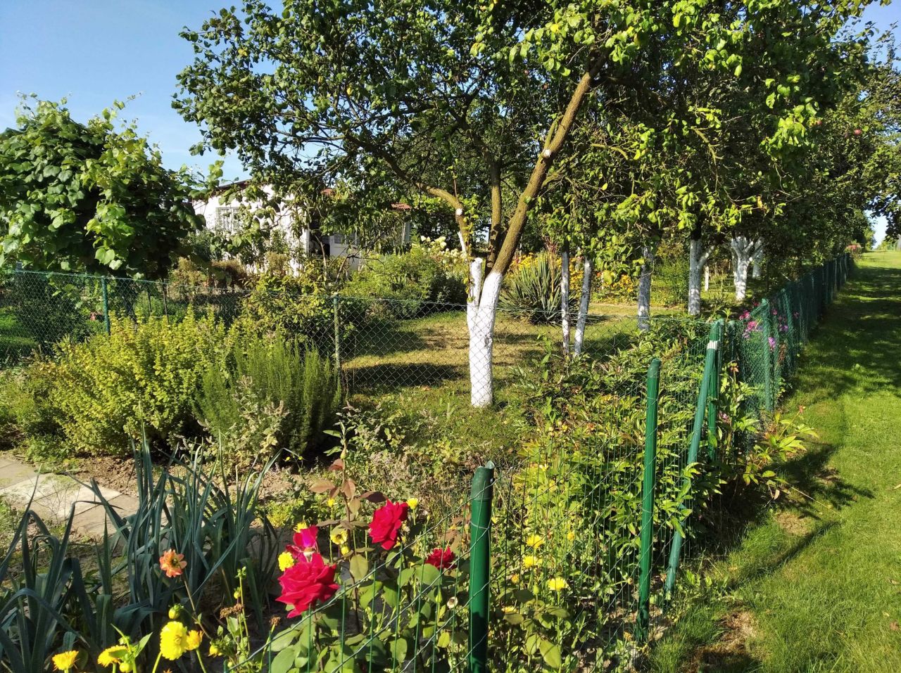 Działka rod Racibórz, ul. Opawska. Zdjęcie 2