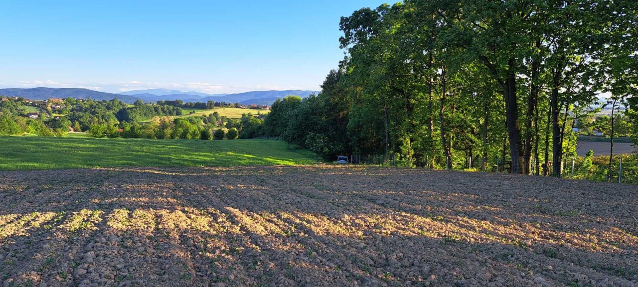 Działka rolna Witanowice