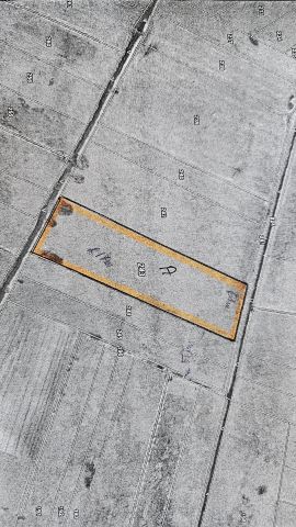 Działka rolna Młynik. Zdjęcie 1