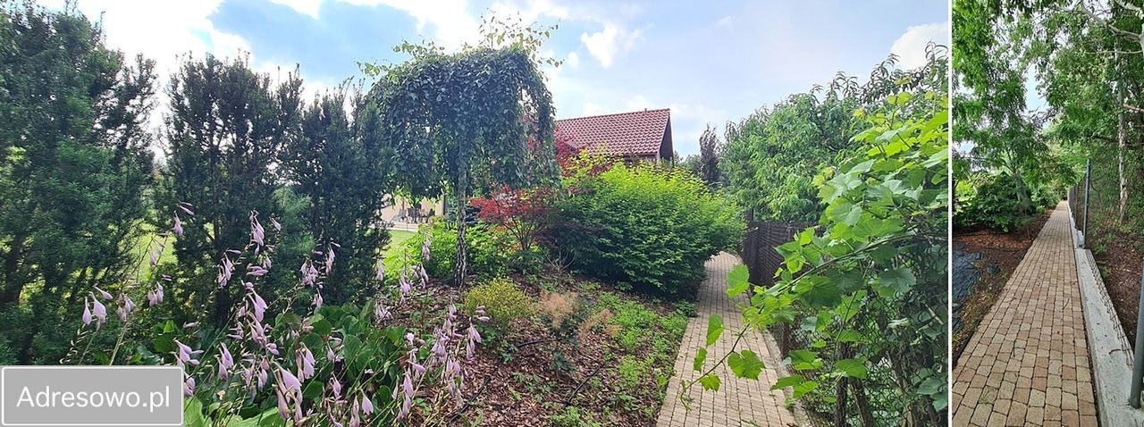 dom wolnostojący, 6 pokoi Strzeniówka. Zdjęcie 20