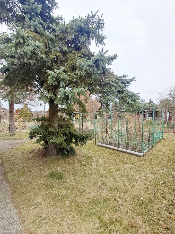 Działka rekreacyjna Szałe. Zdjęcie 3