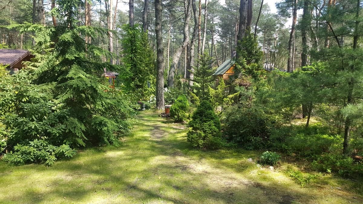 dom letniskowy, 3 pokoje Popowo-Letnisko, Orla. Zdjęcie 18