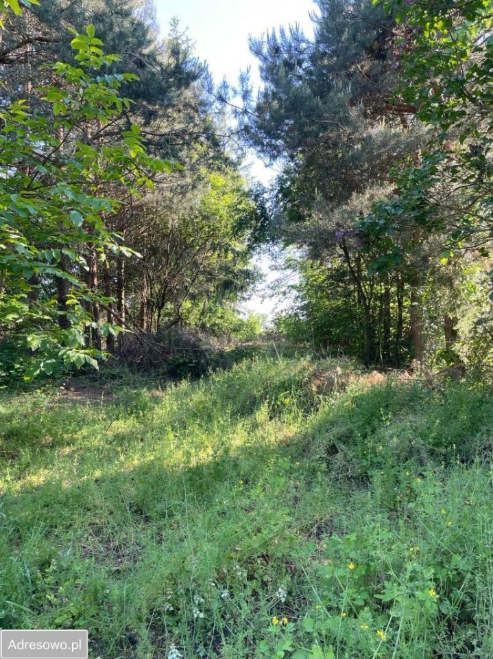 Działka budowlana Waliska. Zdjęcie 3