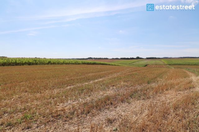 Działka budowlana Lesieniec. Zdjęcie 12