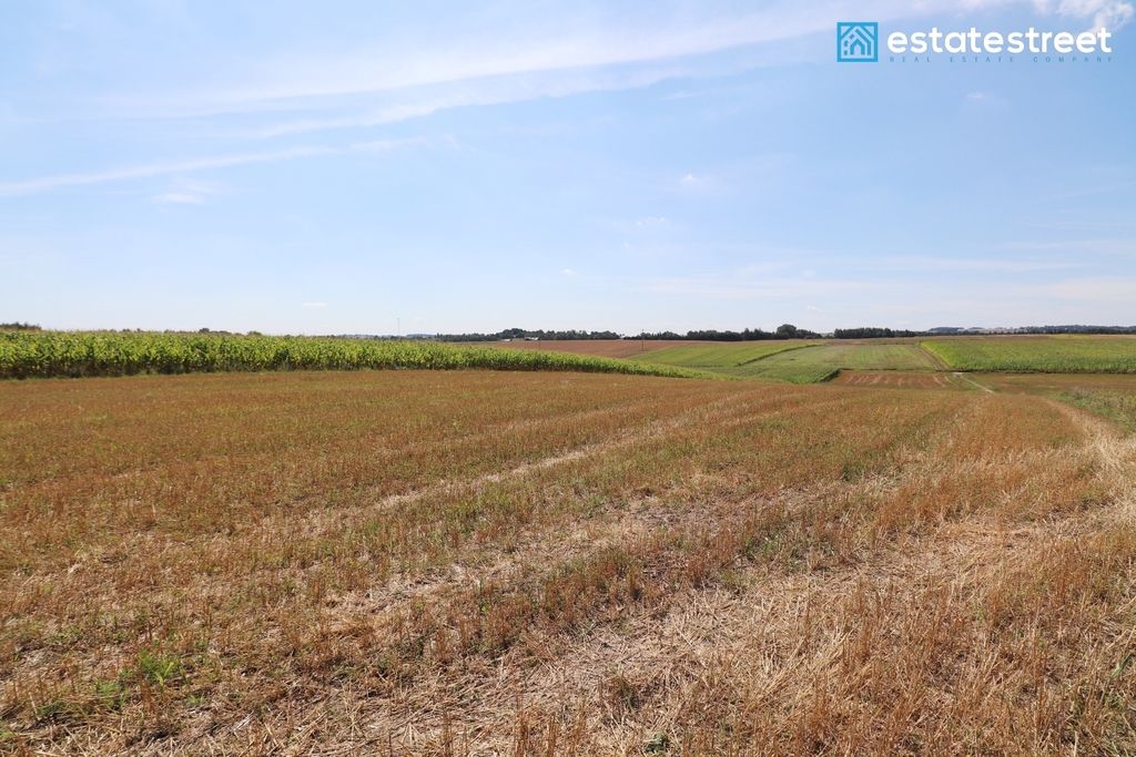 Działka budowlana Lesieniec. Zdjęcie 12