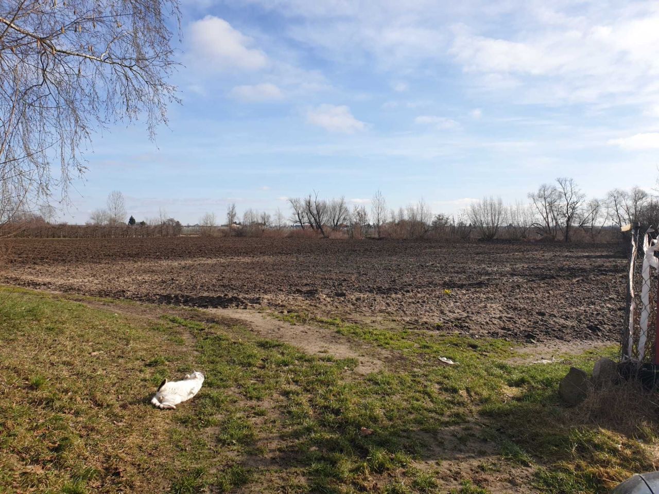 Działka rolno-budowlana Stare Podole. Zdjęcie 5