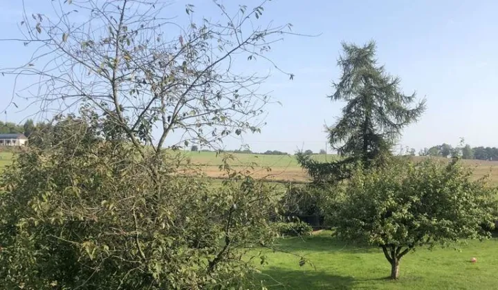 Działka budowlana Wolny Dwór