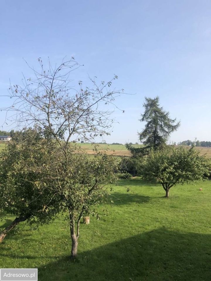 Działka budowlana Wolny Dwór