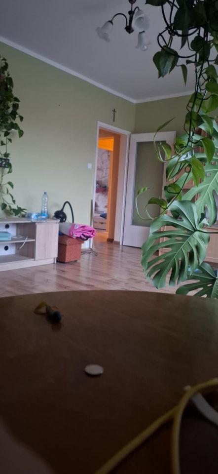 Mieszkanie 3-pokojowe Bytów, ul. Zwycięstwa. Zdjęcie 8