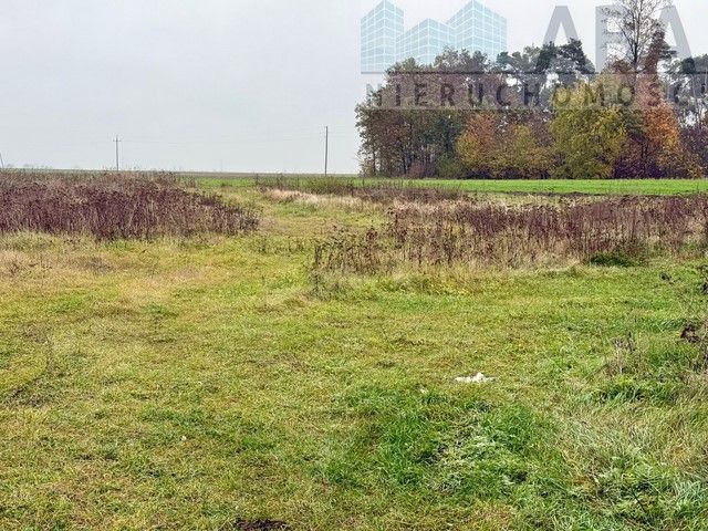 Działka inwestycyjna Wacławów. Zdjęcie 10