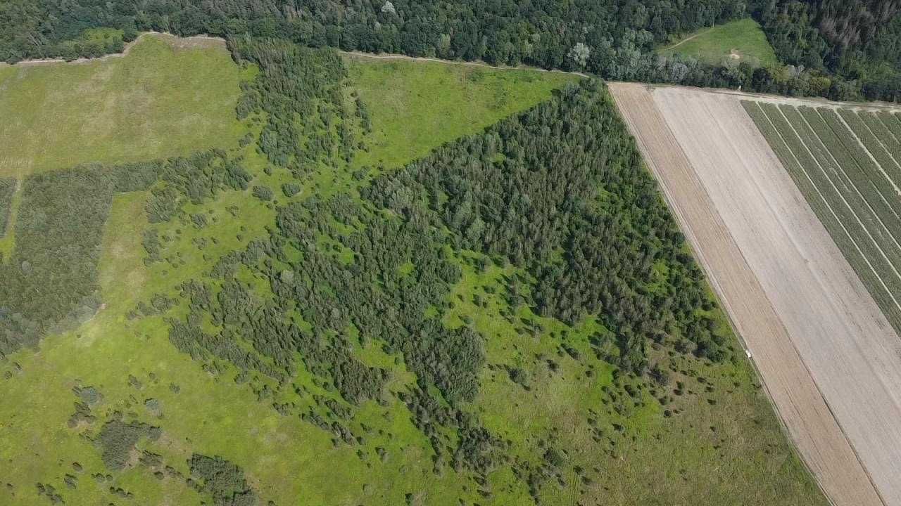 Działka rolna Pęchery. Zdjęcie 1