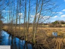 Działka budowlana Osłonino, ul. Nad Gizdepką. Zdjęcie 4