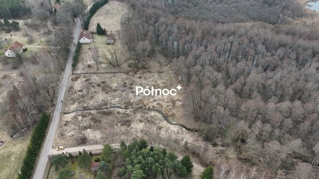 Działka rolna Rogojny. Zdjęcie 7