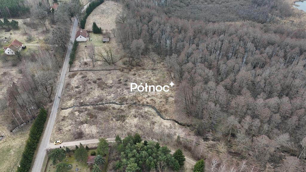 Działka rolna Rogojny. Zdjęcie 7
